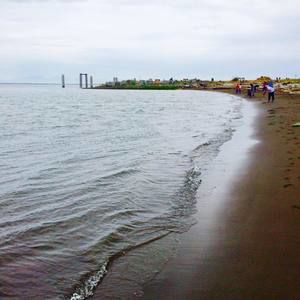 Meet your Posher, Perry